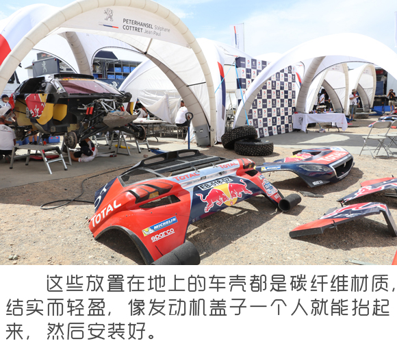 标致 (2).jpg