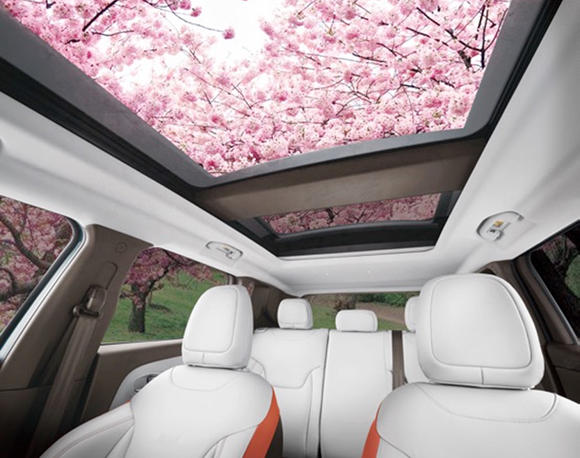 1506576938740021768.jpg %5DCQORCLFOFNX`_AX)}U.jpg