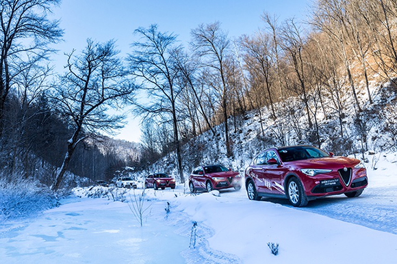 全新进口Stelvio豪华SUV-5.jpg