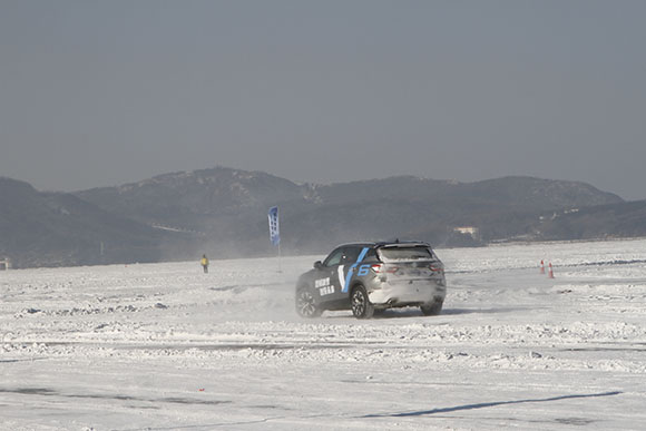 _MG_8656.jpg