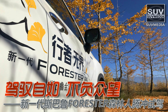 文章封面题图-FORESTER001.jpg