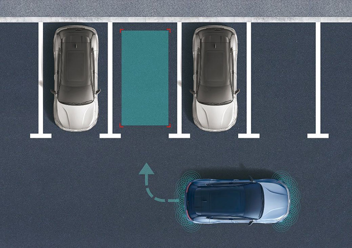 1585625791153017336.jpg 500802891.jpg