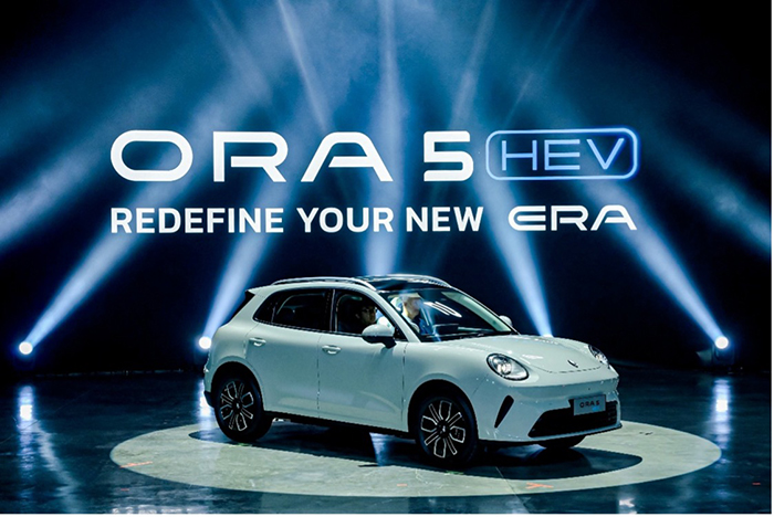 1773563995417077224.jpg ola05.jpg