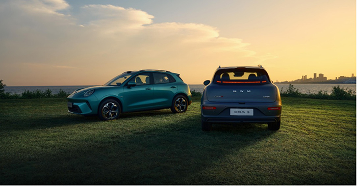 1773564038104056167.jpg 6.jpg