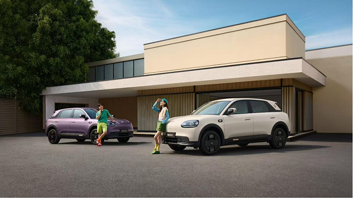 1774850227910018825.jpg 2.jpg