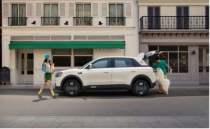 1774850252407069261.jpg 3.jpg