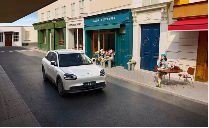 1774850291050038158.jpg 4.jpg